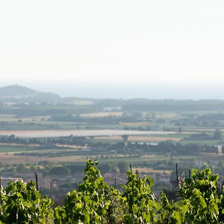 Castello Bonaria Wine &